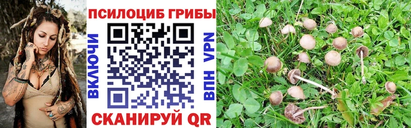 Псилоцибиновые грибы прущие грибы маркетплейс клад Волгоград
